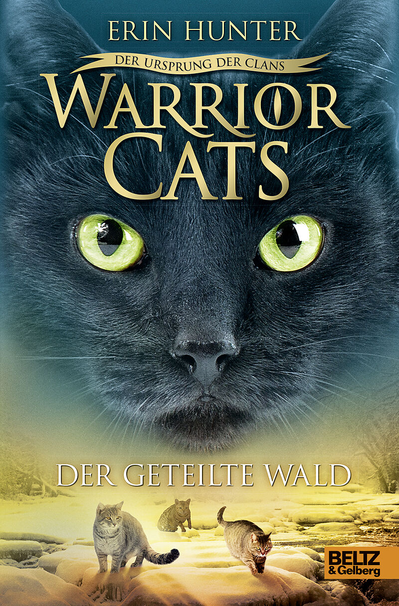 Warrior Cats Bücher Warrior Cats Bücher