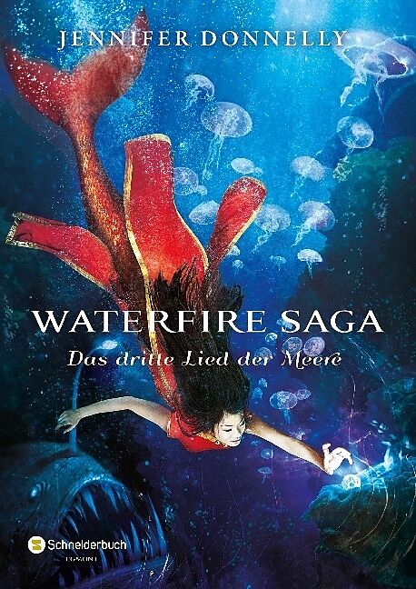 Image result for waterfire saga buch