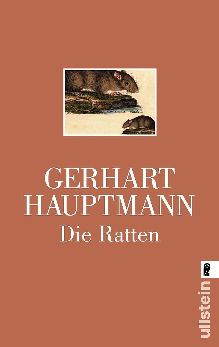 die ratten die ratten